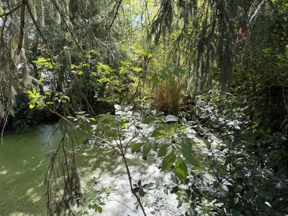 Au�enansicht Wohngrundst�ck Kleve