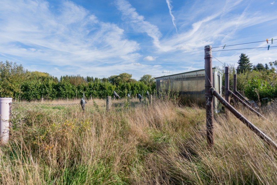 Garten Einfamilienhaus Kranenburg